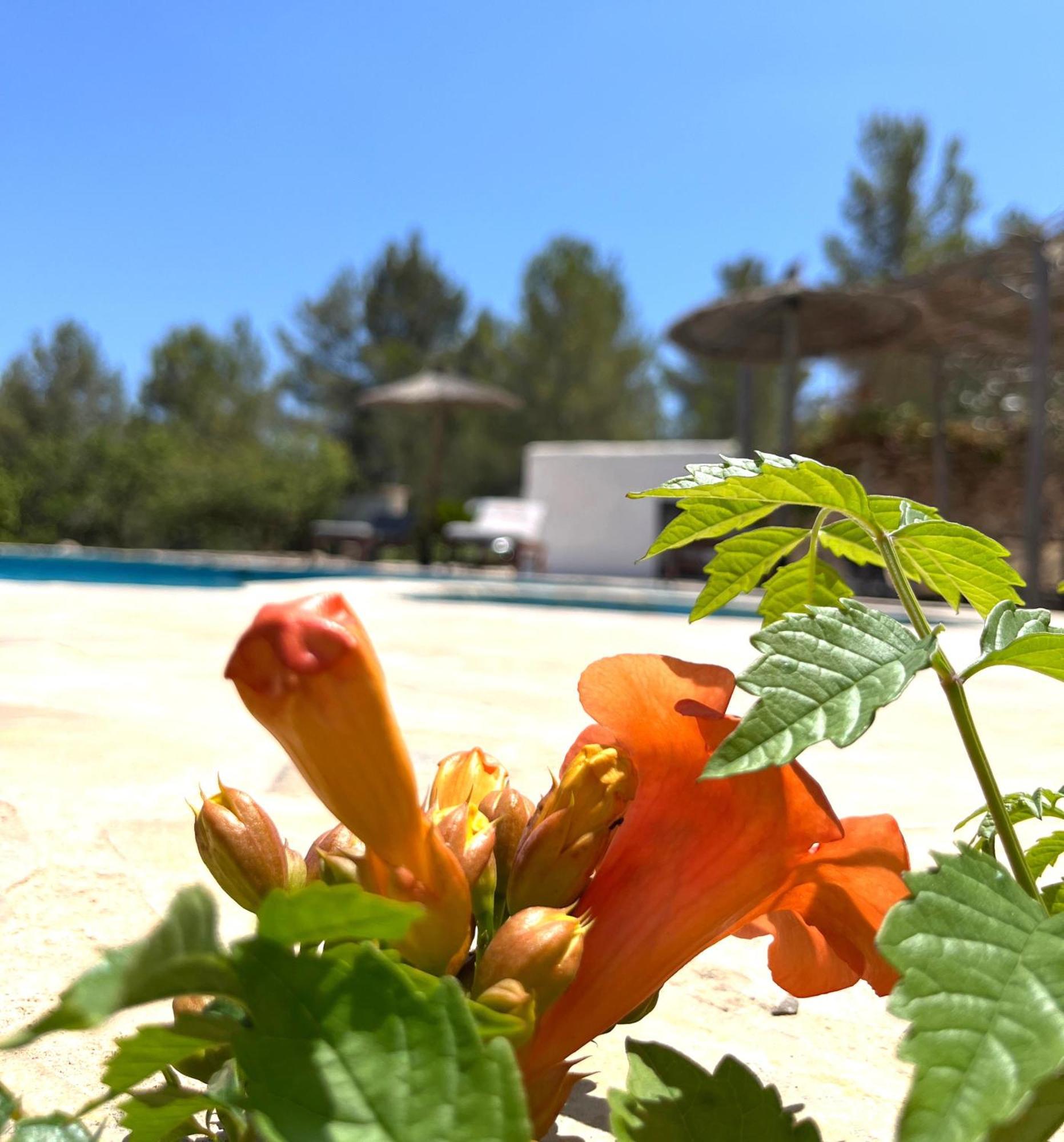 Villa Can Mestreso Suite Ibiza Sant Joan de Labritja Kültér fotó