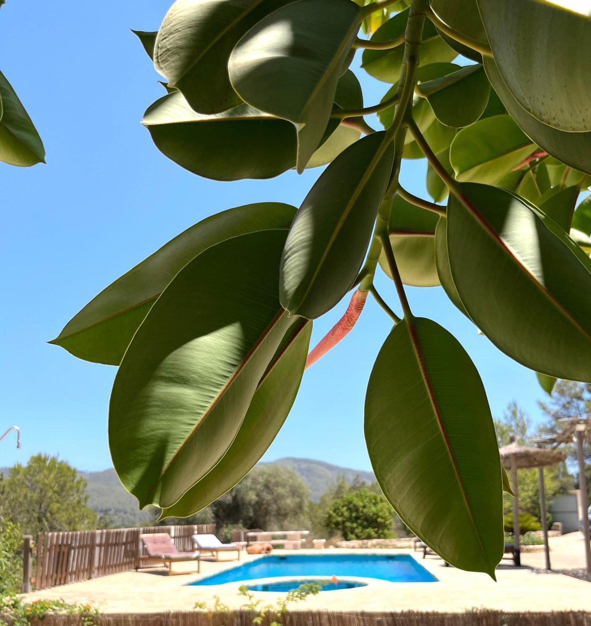 Villa Can Mestreso Suite Ibiza Sant Joan de Labritja Kültér fotó